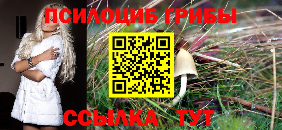 Псилоцибиновые грибы ЛСД  Вход с VPN  Набережные Челны 