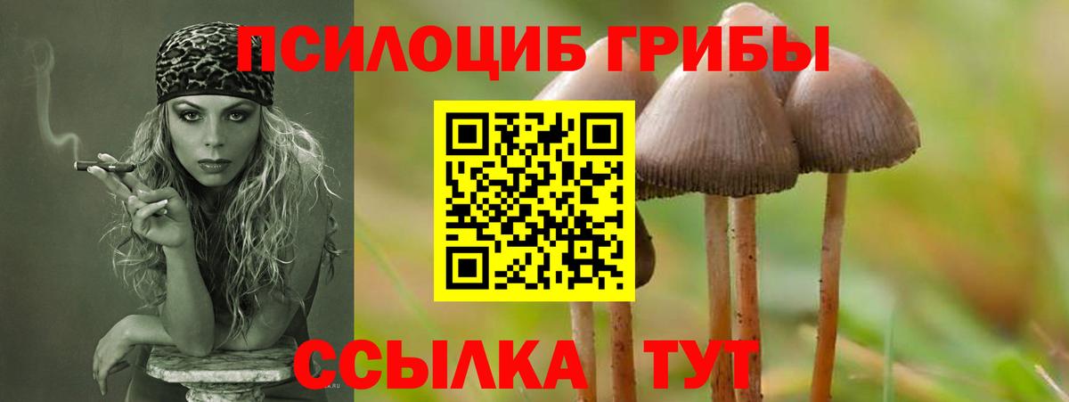 Псилоцибиновые грибы GOLDEN TEACHER Набережные Челны